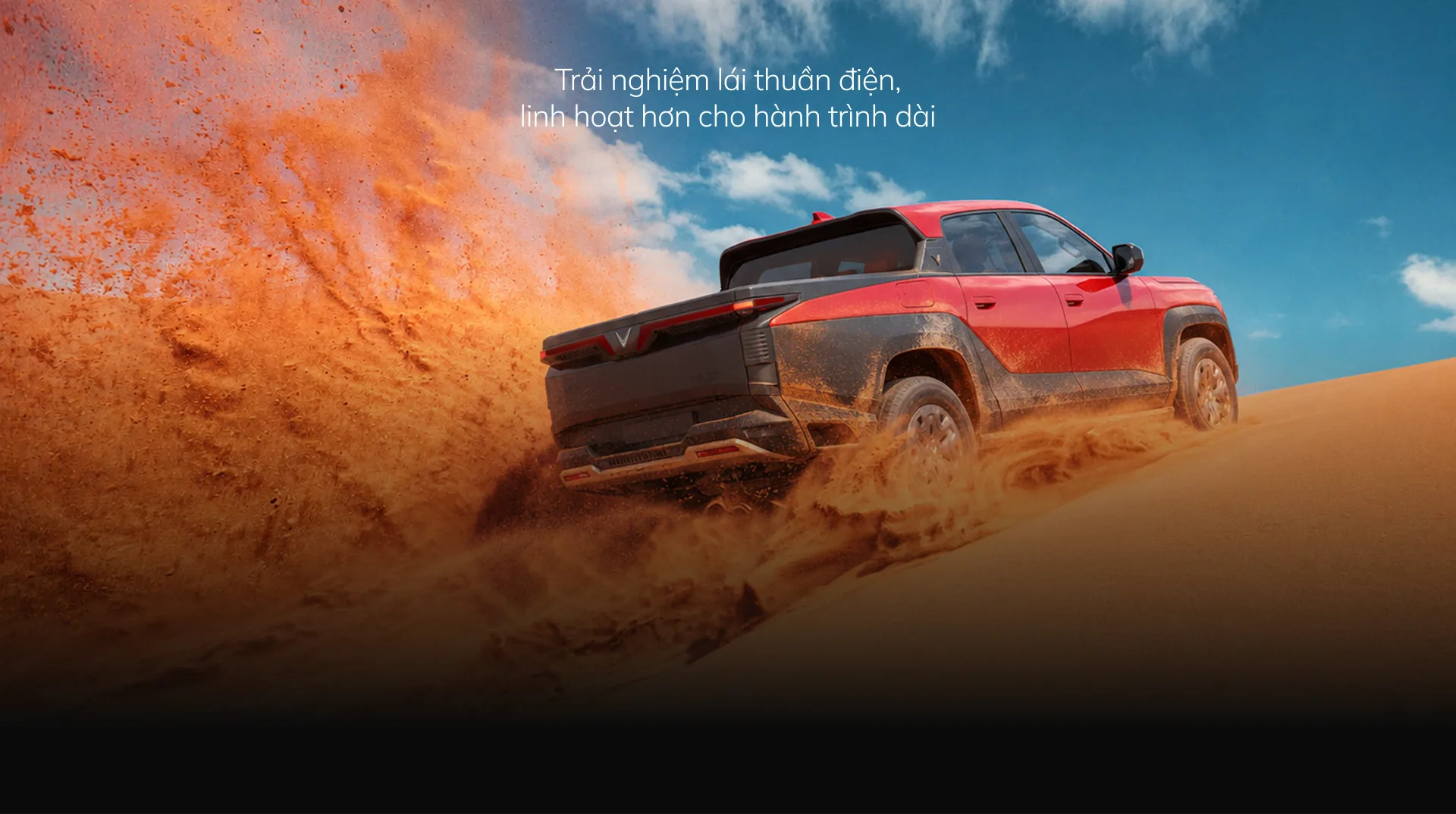 VF Wild 2 banner vf wild 23926 10